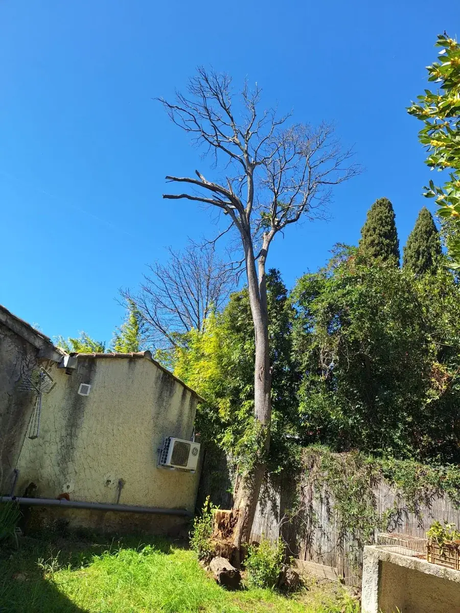 Création de jardin paysager en Provence — terrasse, allées et plantations méditerranéennes