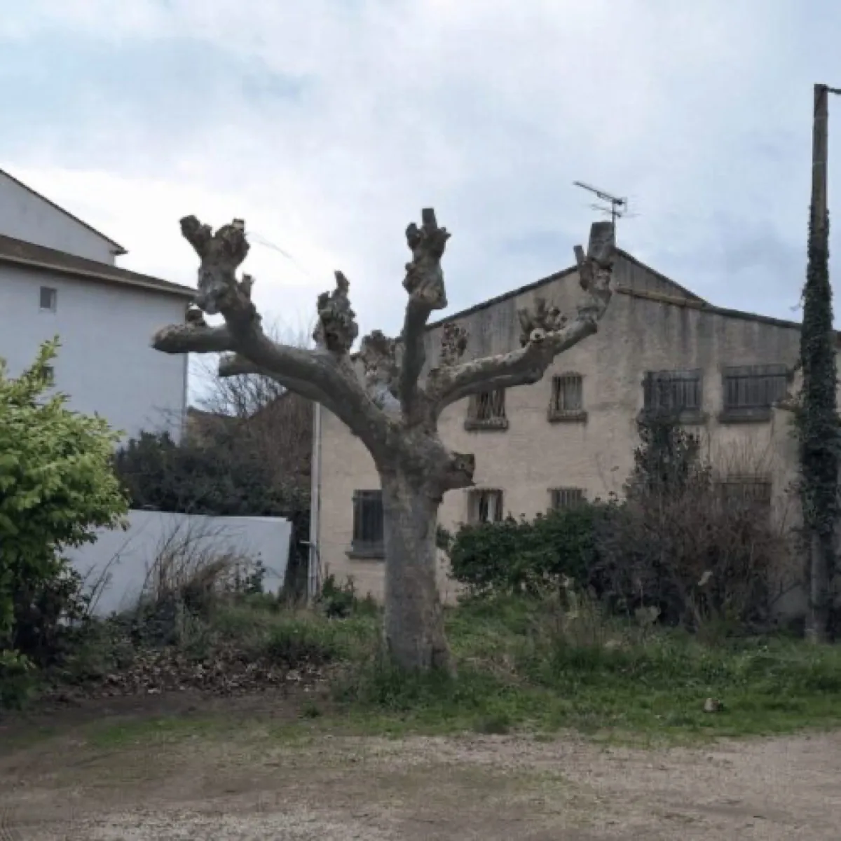 Paysagiste à Marignane par MJ Services 13