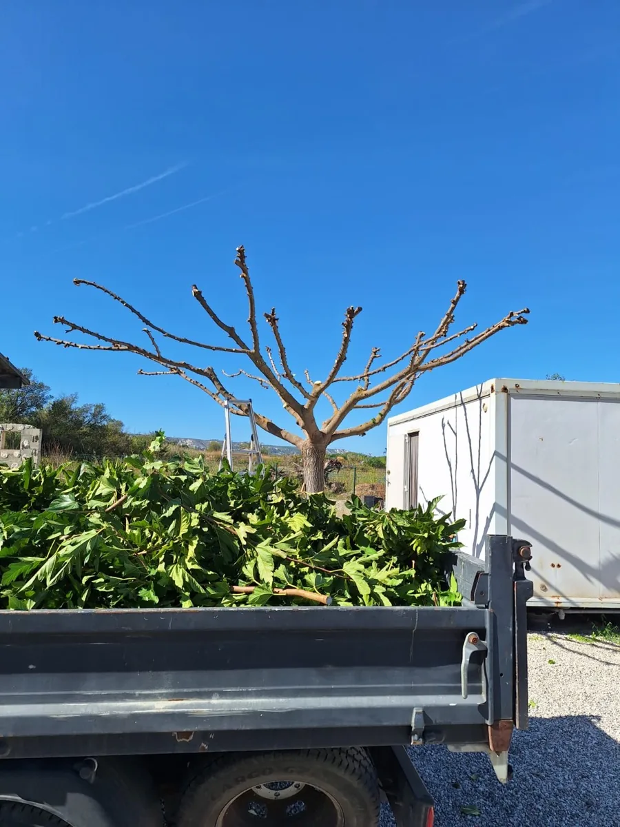 Paysagiste à Martigues par MJ Services 13