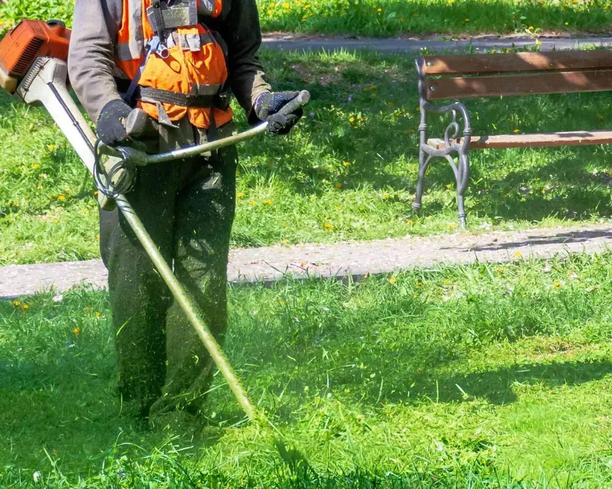 Paysagiste à Vitrolles par MJ Services 13