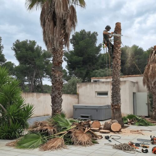 A_realistic_enhancement_of_a_Mediterranean-style_b-1774448550597