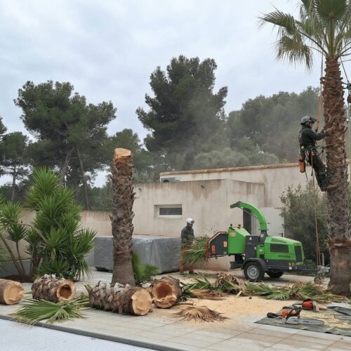 A_realistic_enhancement_of_a_Mediterranean-style_b-1774448559082