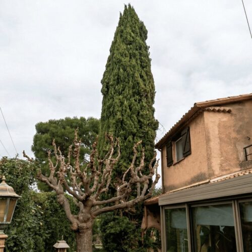 A_realistic_enhancement_of_a_residential_garden_sc-1774442763210