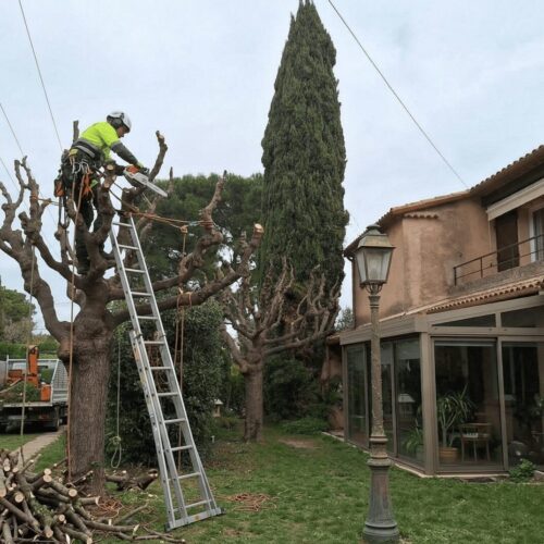 A_realistic_enhancement_of_a_residential_garden_sc-1774442949064