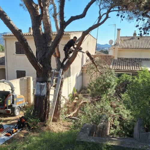 A_realistic_enhancement_showing_a_different_moment-1774449868899