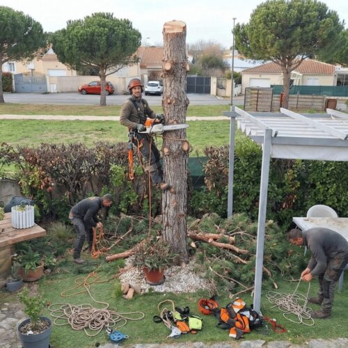 Based_on_this_Mediterranean_garden_photo_with_pine-1769610324149