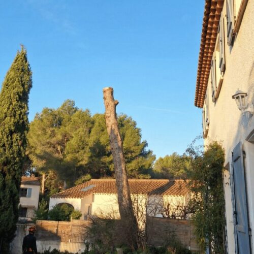 Straighten_this_Mediterranean_courtyard_photo_and_-1769604582567