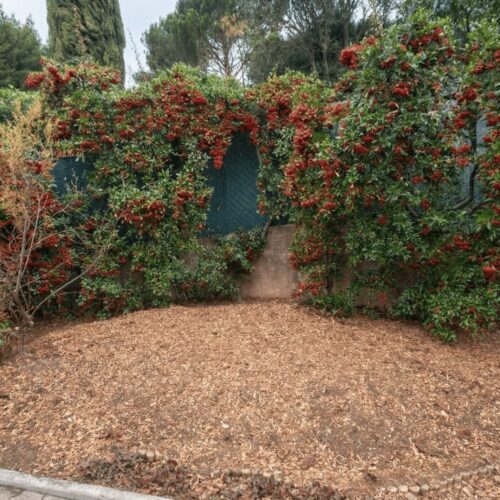 apres-rognage-souche-broyage-sol-aix