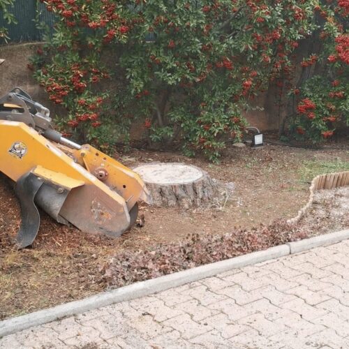 dessoucheuse-rognage-souche-aix-provence